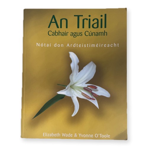 Triail cabhair agus cúnamh - an,